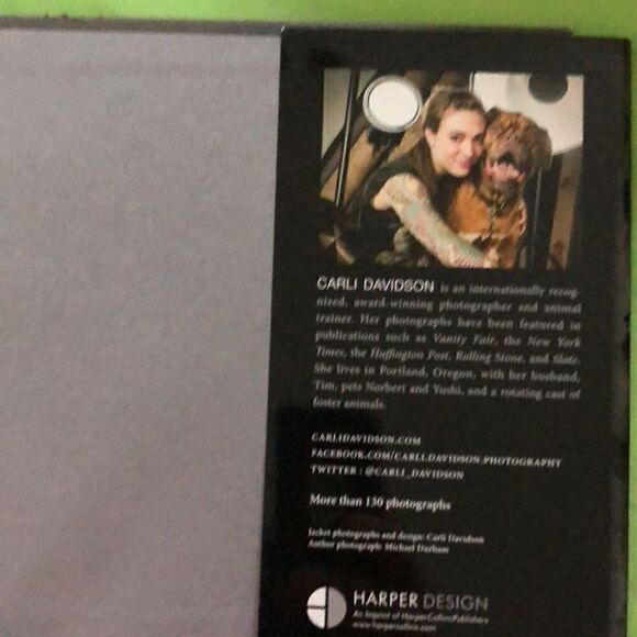 Shake by Carli Davidson  - Picture 3 of 4